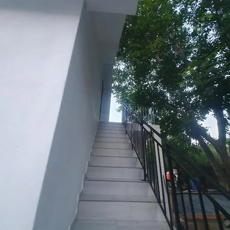 Edi Corbu (Constanta)